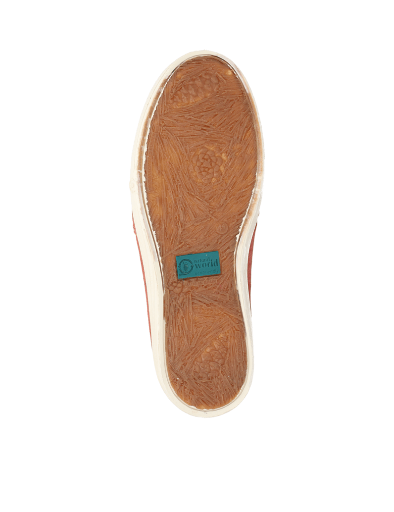 Natural-World-Old-Crabe