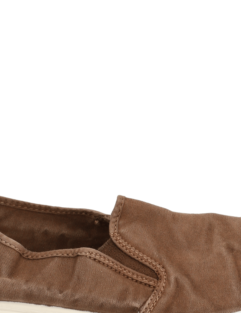 Natural-World-OLD-CRABE