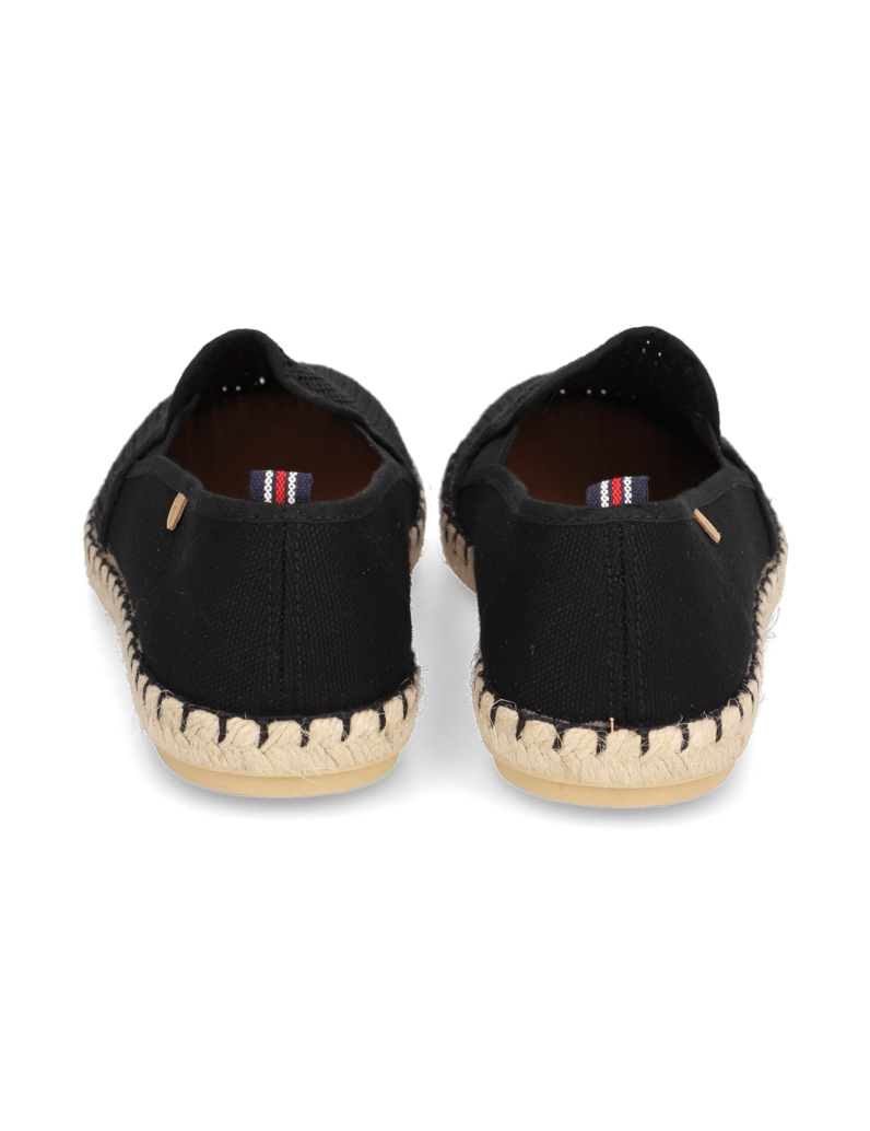 Verbenas-Tom-Pacific-beige