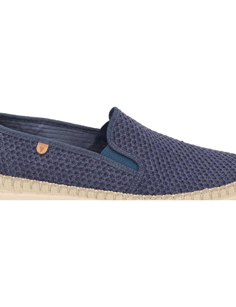 Verbenas-BORIS-BUZZBEE-beige