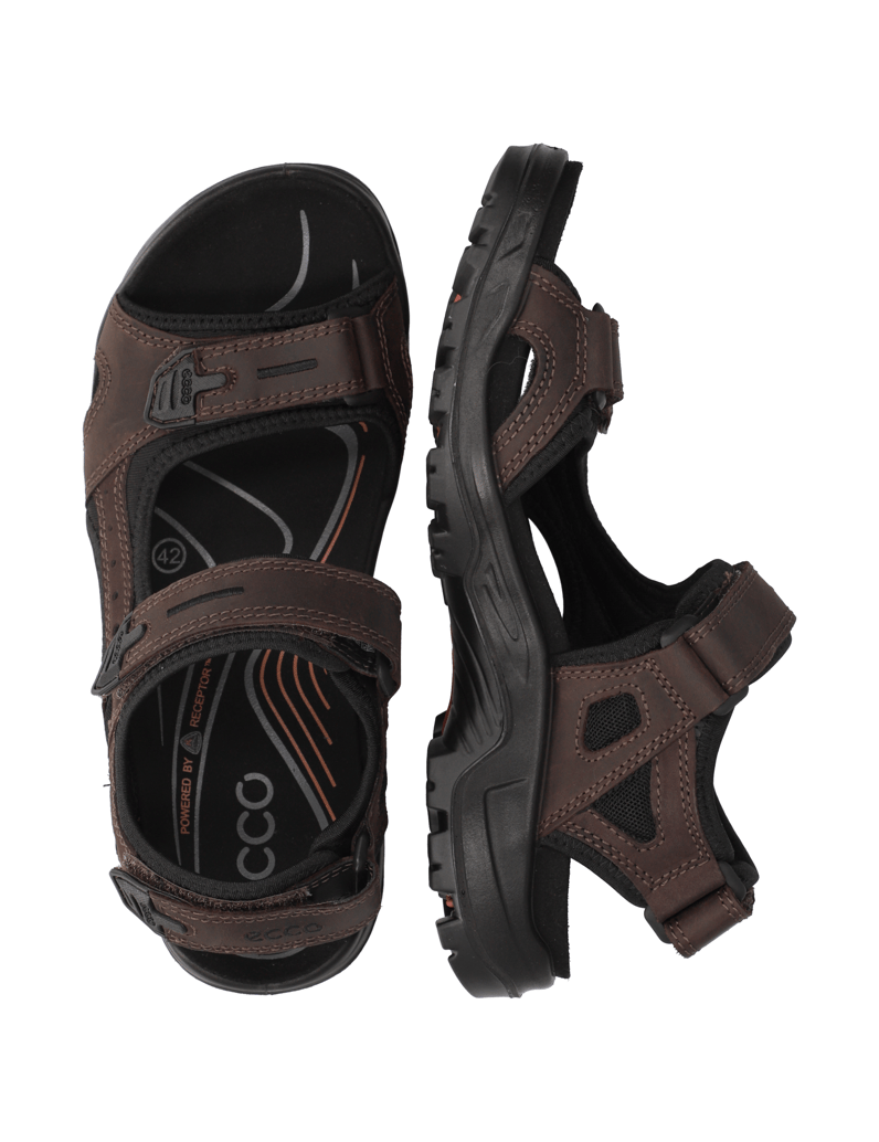 Ecco-ECCO-OFFROAD-braun