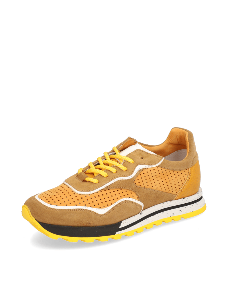 D.H.Pollak-Lederkombi-Sneaker