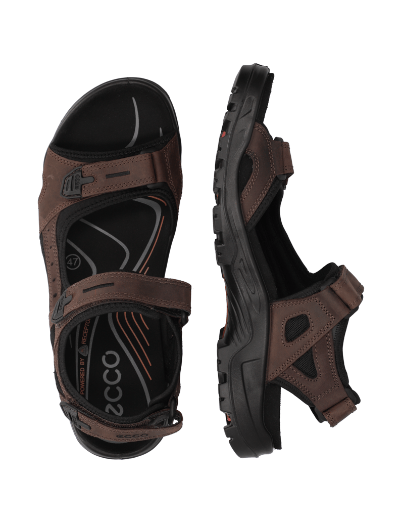 Ecco-ECCO-OFFROAD-braun