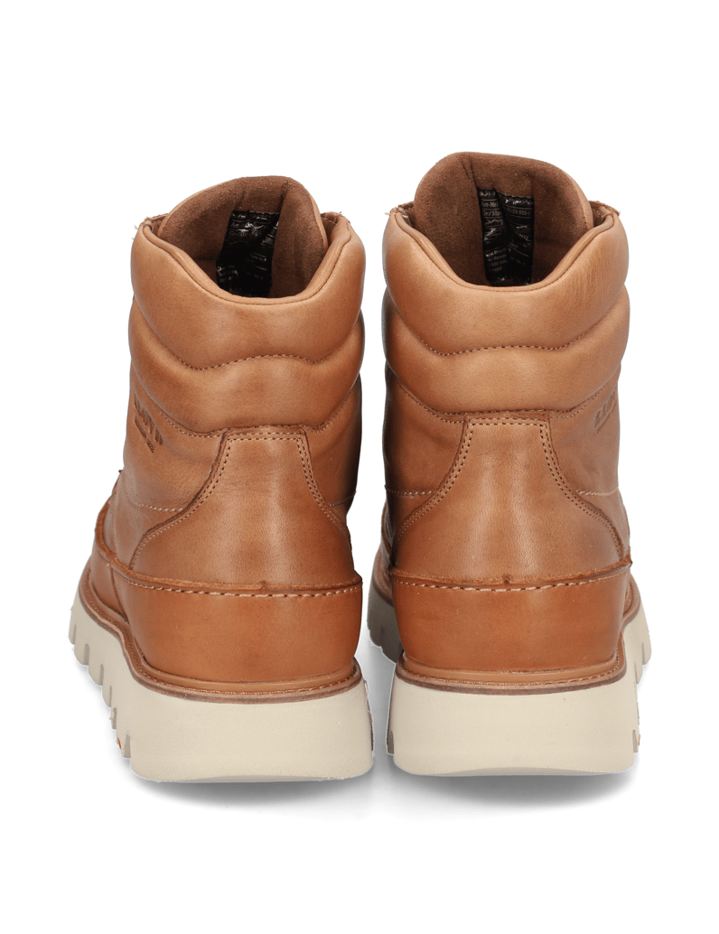 Lloyd-EDOR-koňaková