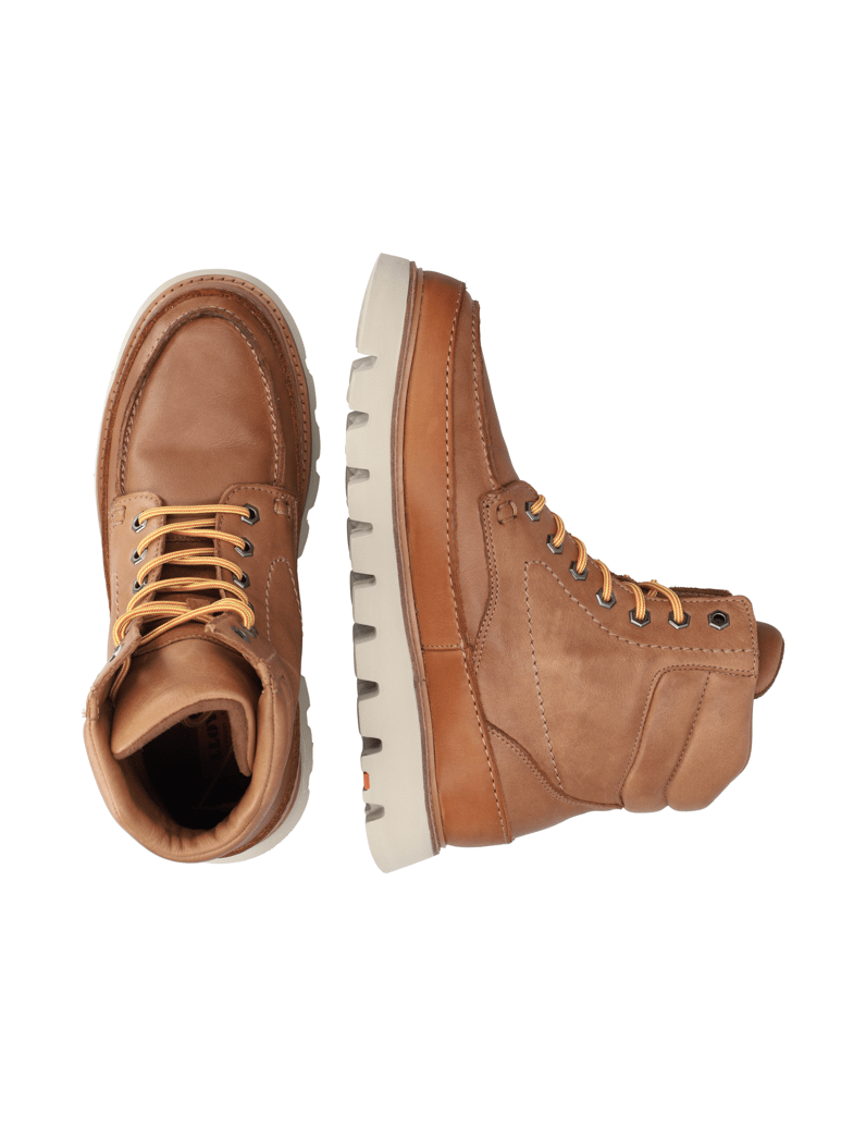 Lloyd-EDOR-koňaková