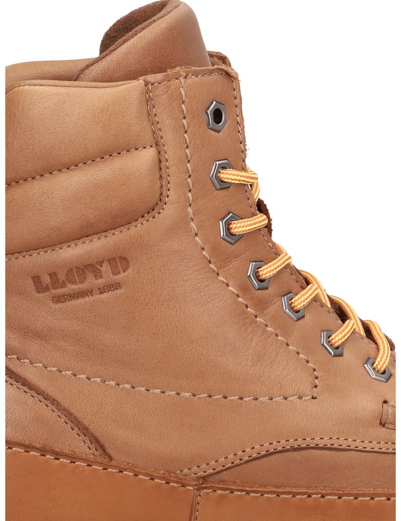 Lloyd-EDOR-koňaková