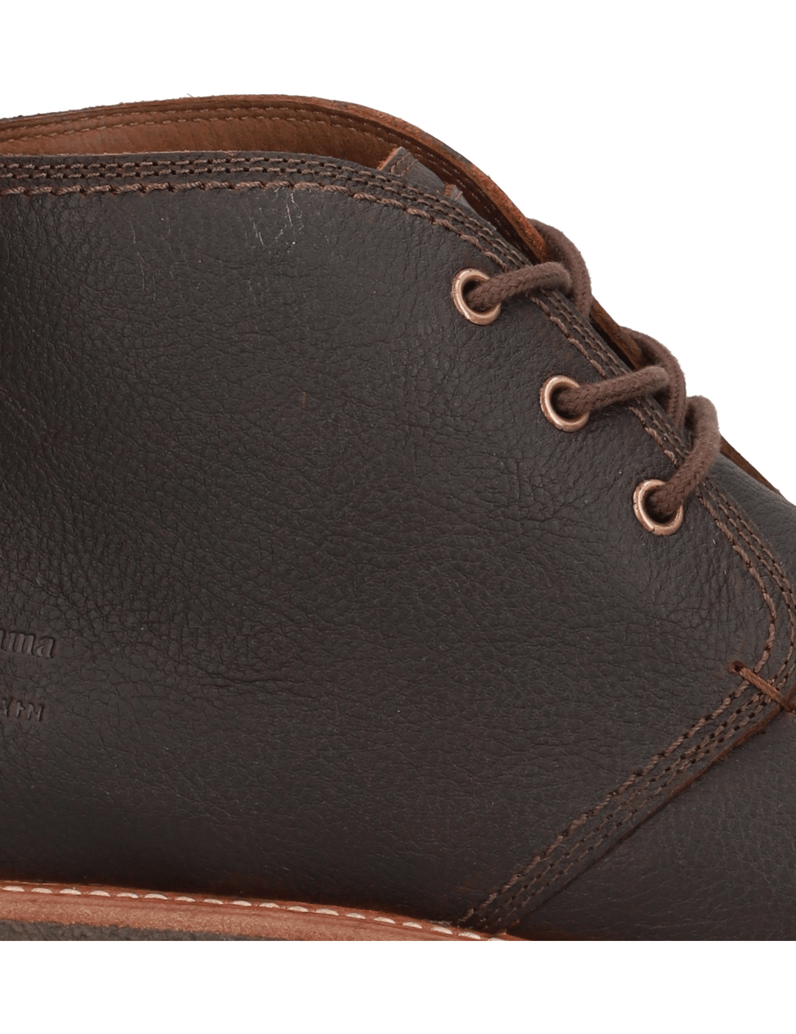 Panama-Jack-Gael-C9-braun