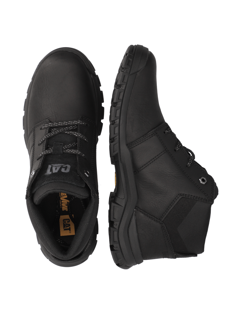 CAT-THRESHOLD-CHUKKA