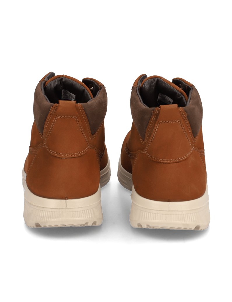 Jomos-Toledo-koňaková