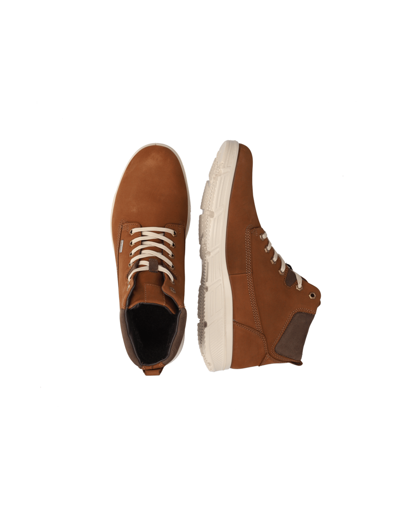 Jomos-Toledo-koňaková