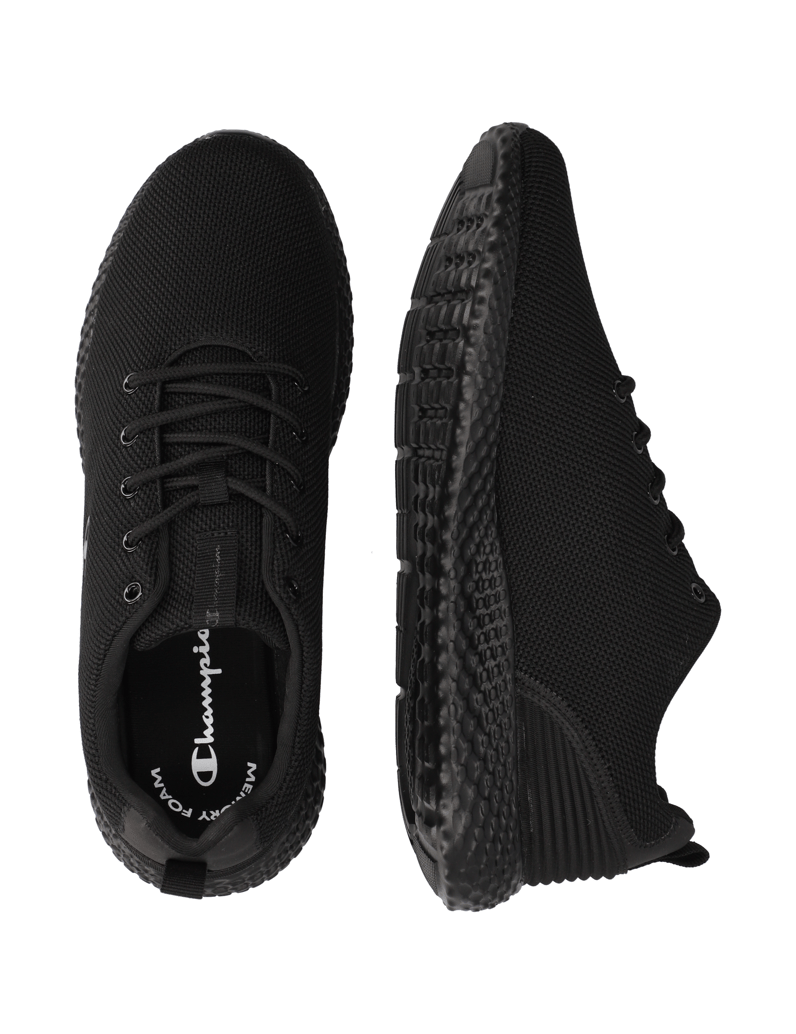 Champion-SPRINT-WINTERIZED