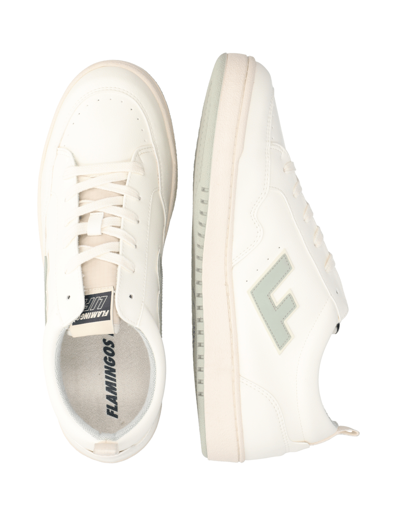 Flamingos‘-Life-ROLAND-V.10