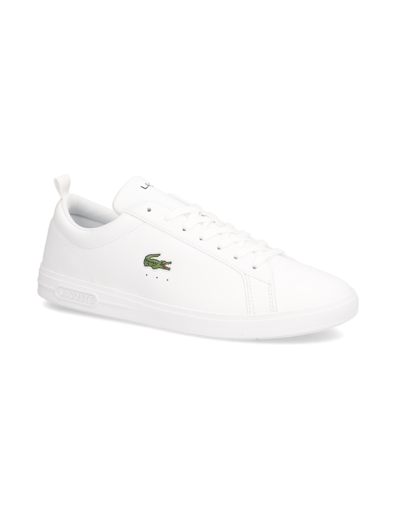 LACOSTE-CARNA-BASE-bílá