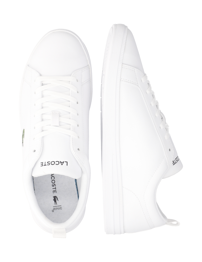 LACOSTE-CARNA-BASE-bílá