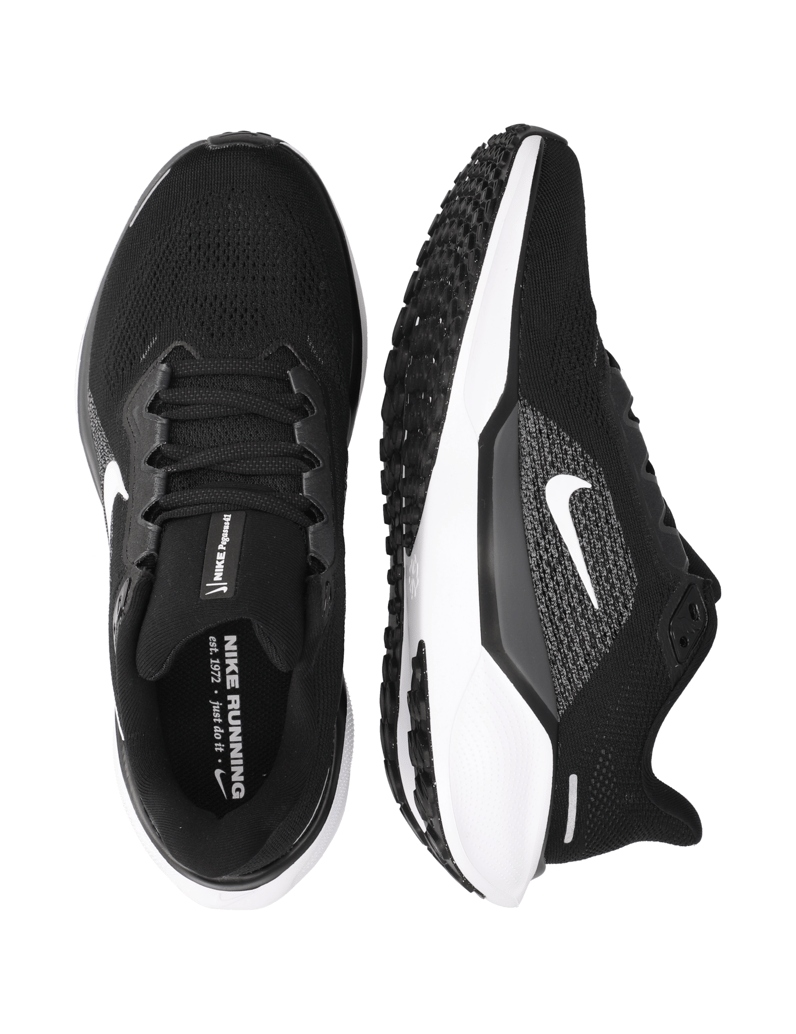 Nike-NIKE-PEGASUS-41-schwarz