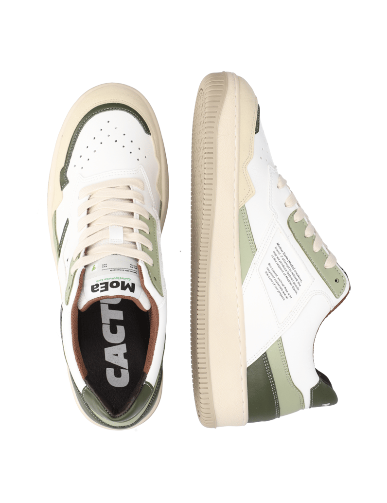 MoEa-GEN1---CACTUS-BLEND-weiss