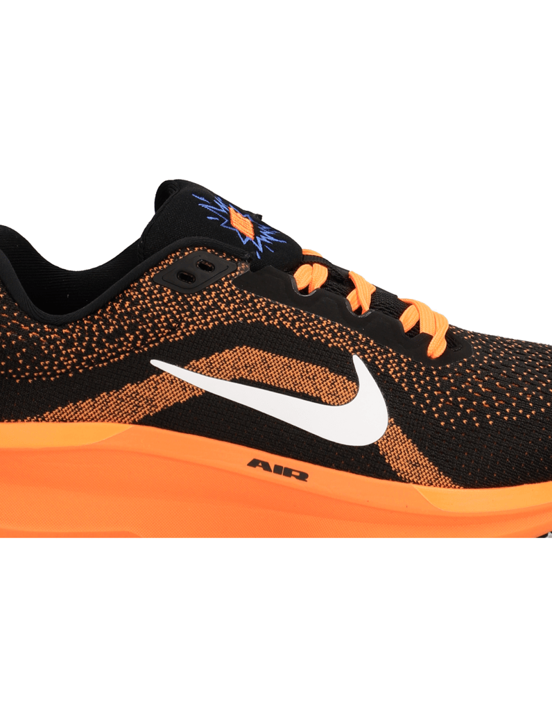 Nike-NIKE-WINFLO-11-schwarz