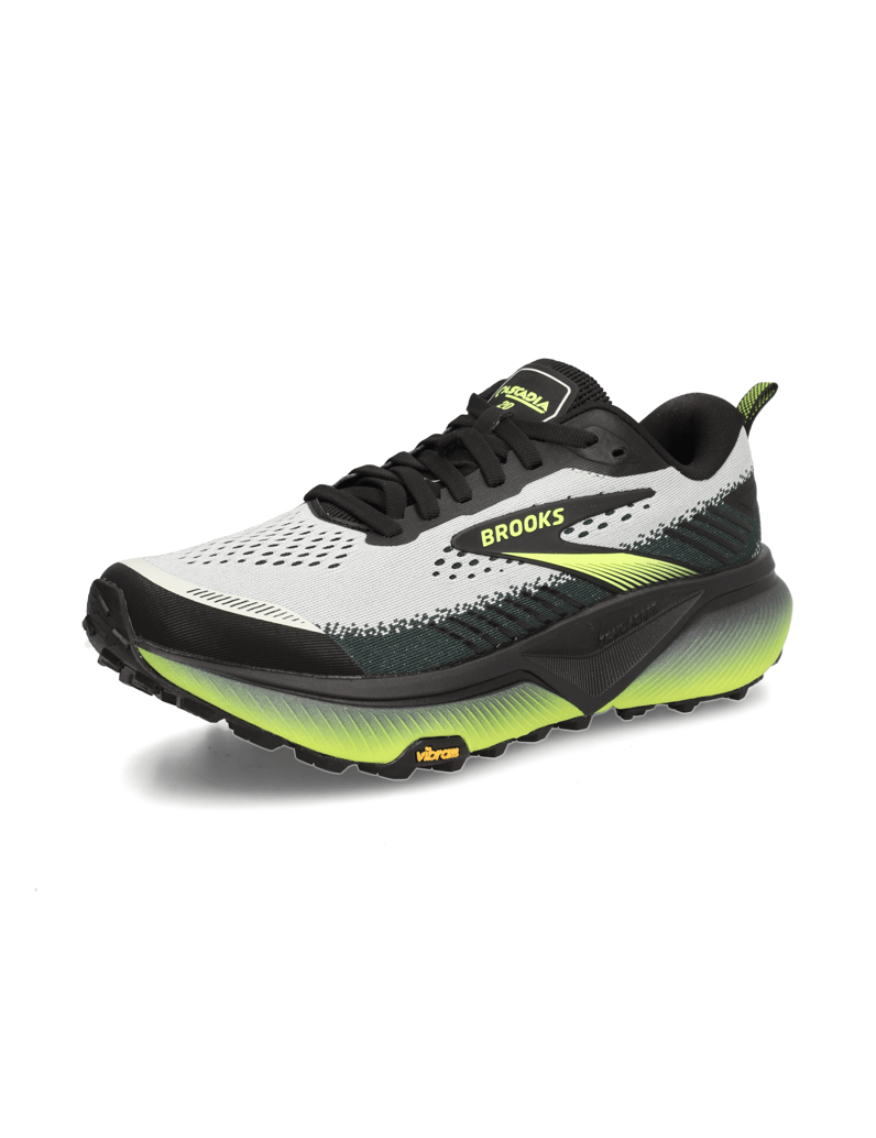 Brooks-CASCADIA-20-siva
