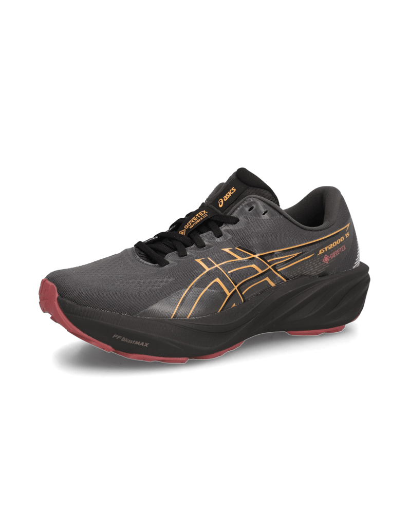 Asics-GT-2000-15-GTX-črna