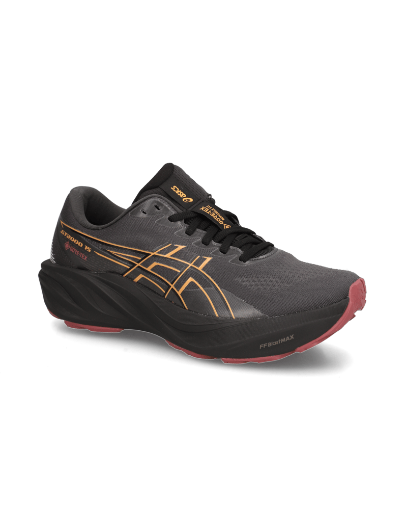 Asics-GT-2000-15-GTX-črna