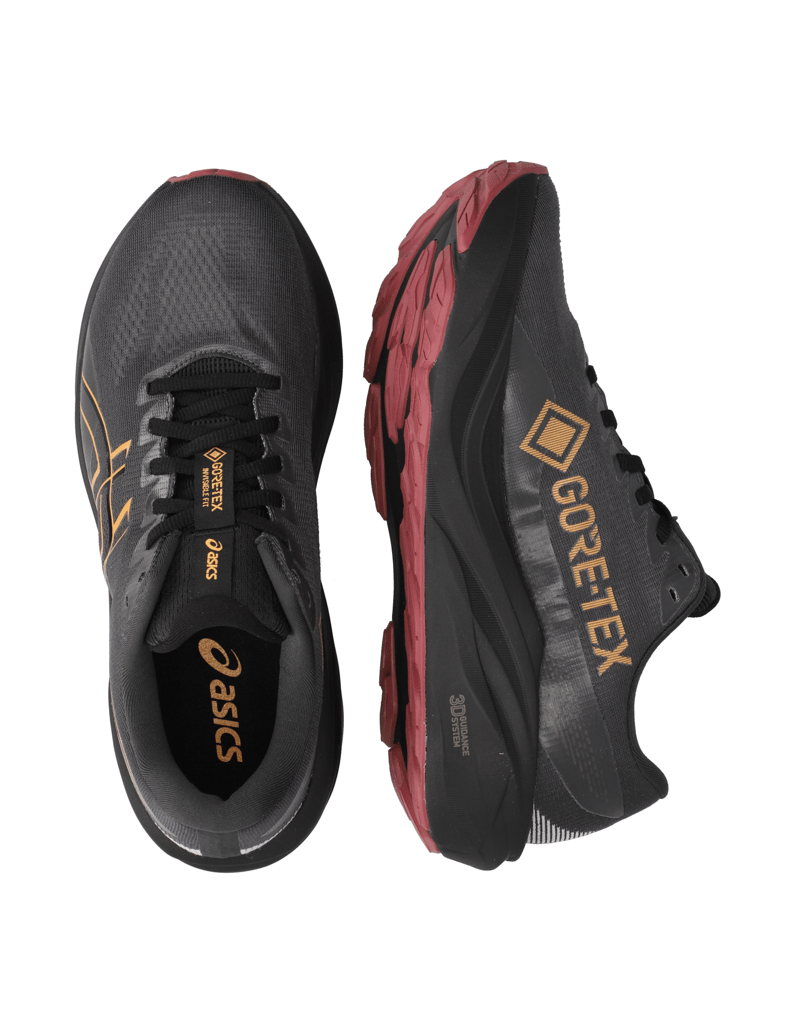 Asics-GT-2000-15-GTX-črna
