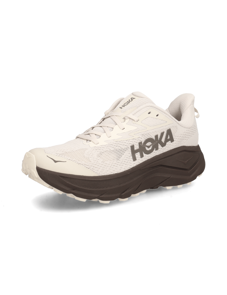 HOKA-CHALLENGER-8-blau