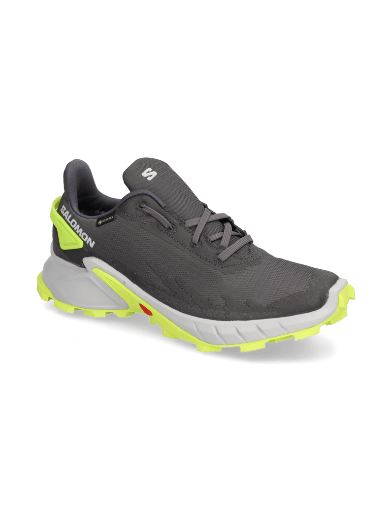 Salomon-ALPHACROSS-4-GTX