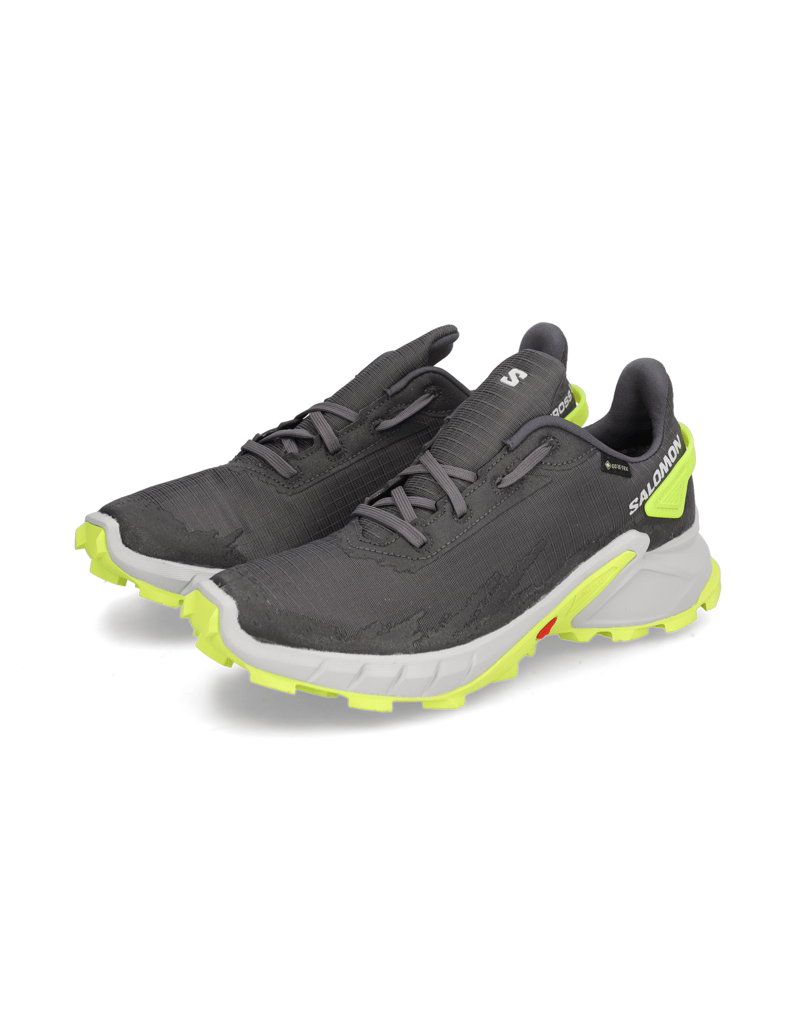 Salomon-ALPHACROSS-4-GTX