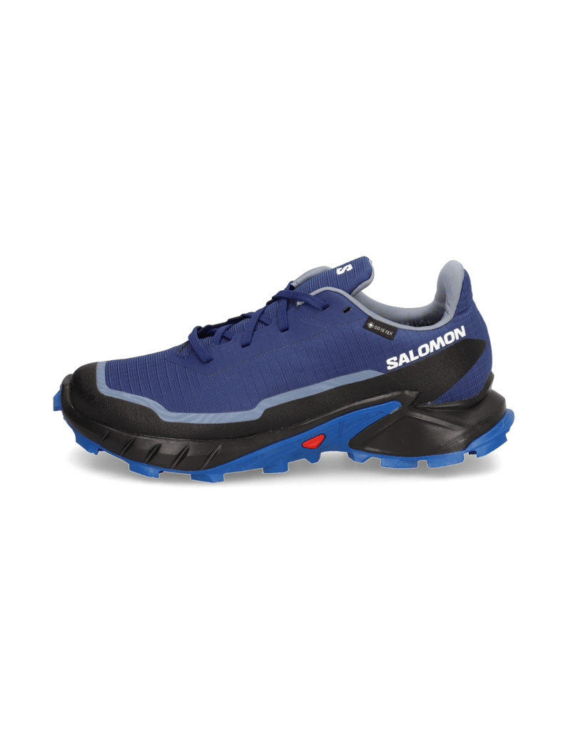 Salomon-ALPHACROSS-5-GTX-schwarz