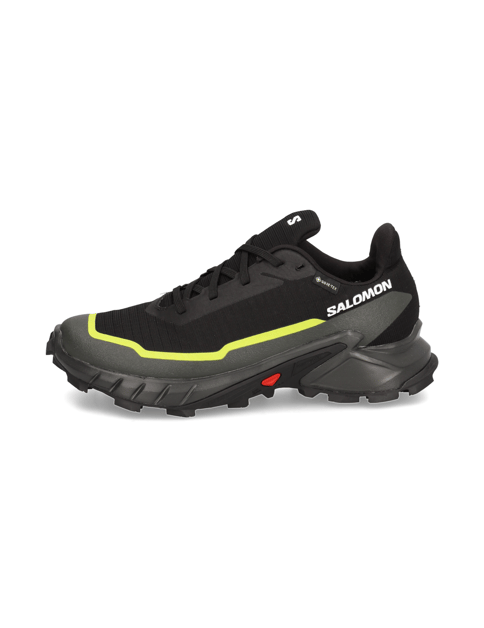 Salomon ALPHACROSS 5 GTX