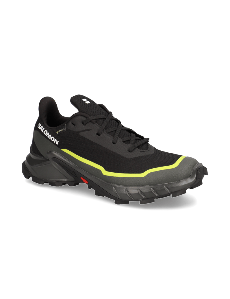 Salomon-ALPHACROSS-5-GTX-schwarz