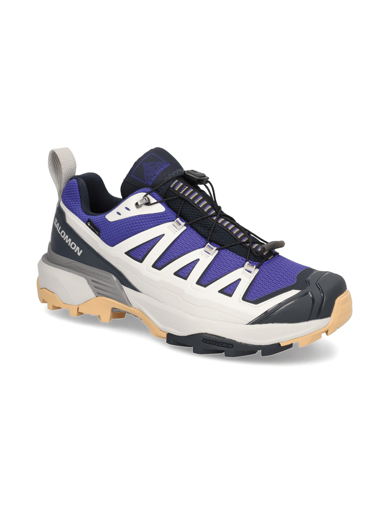Salomon-X-ULTRA-360-EDGE-GTX-grau
