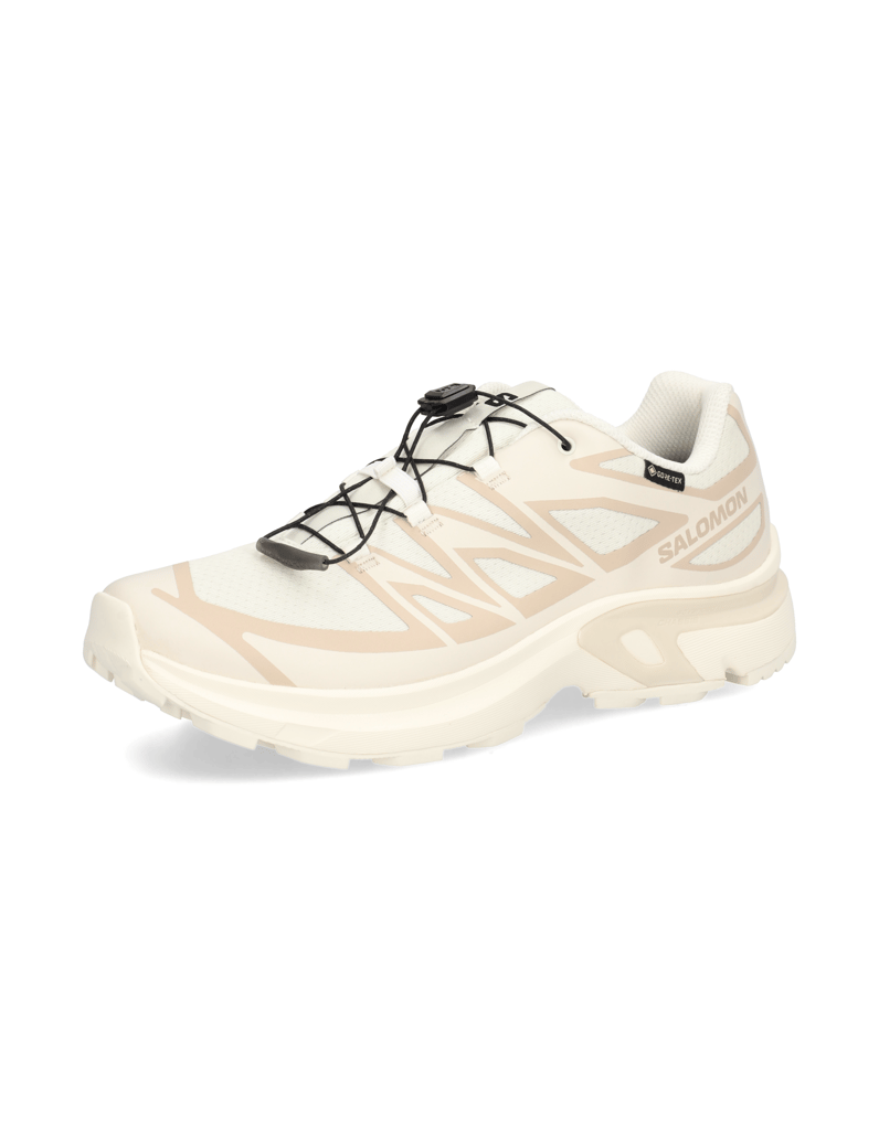 Salomon-XT-EVR-GTX-schwarz