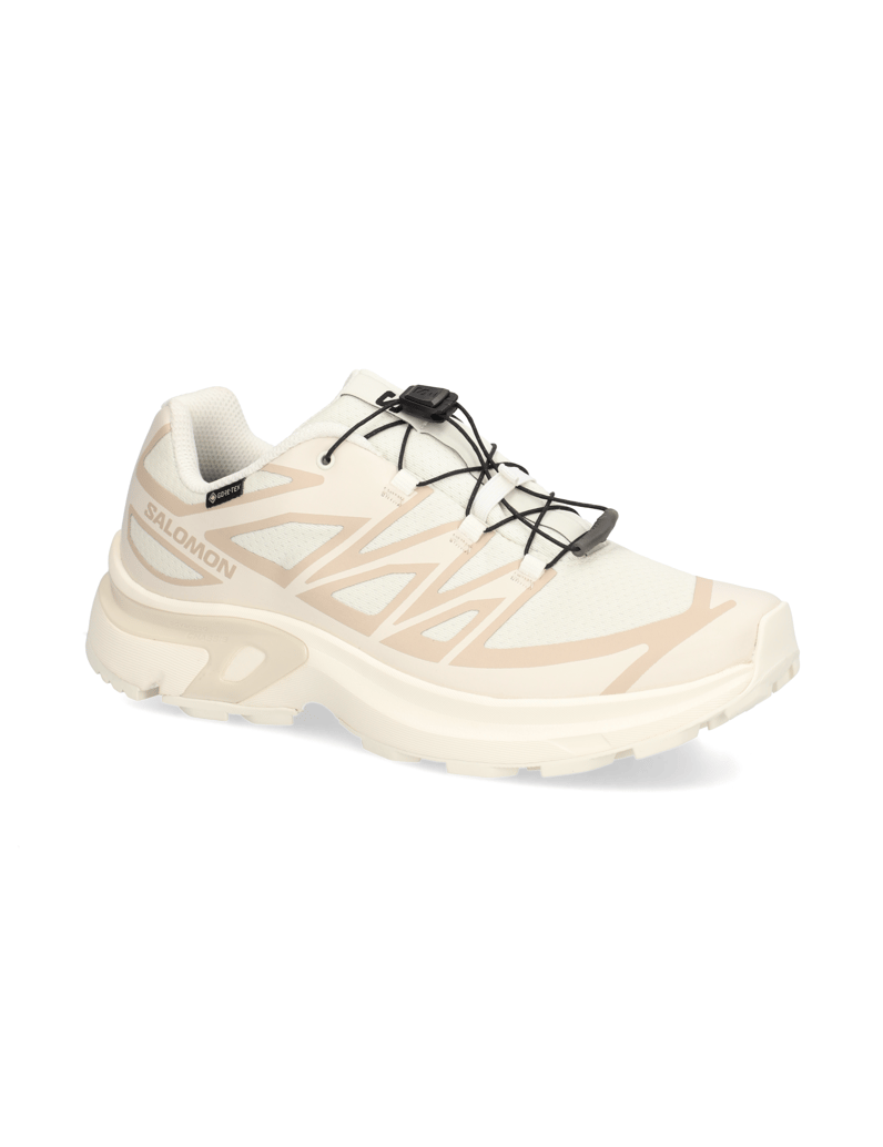 Salomon-XT-EVR-GTX-schwarz