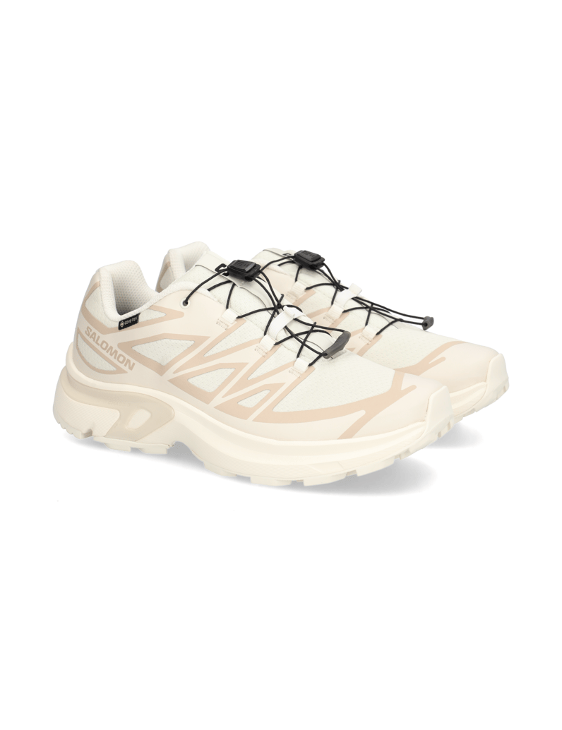 Salomon-XT-EVR-GTX-schwarz