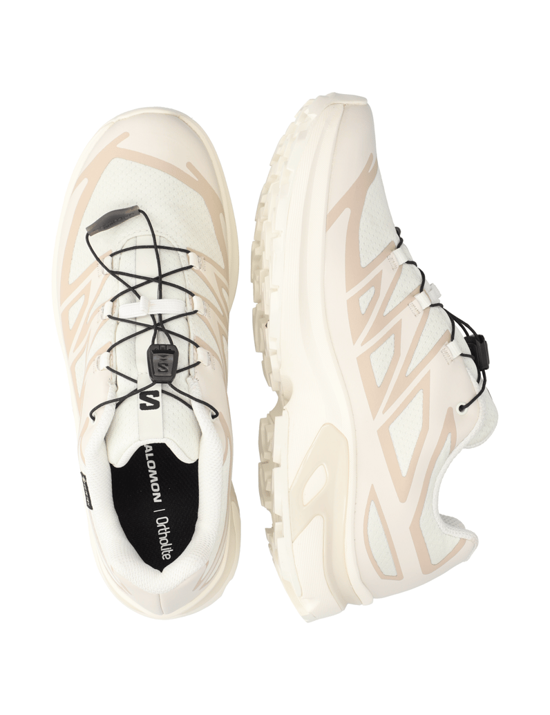 Salomon-XT-EVR-GTX-schwarz