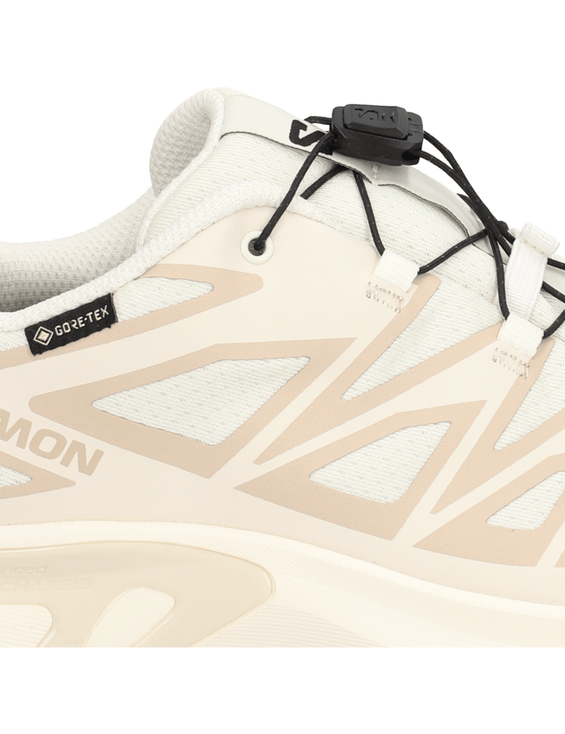 Salomon-XT-EVR-GTX-schwarz