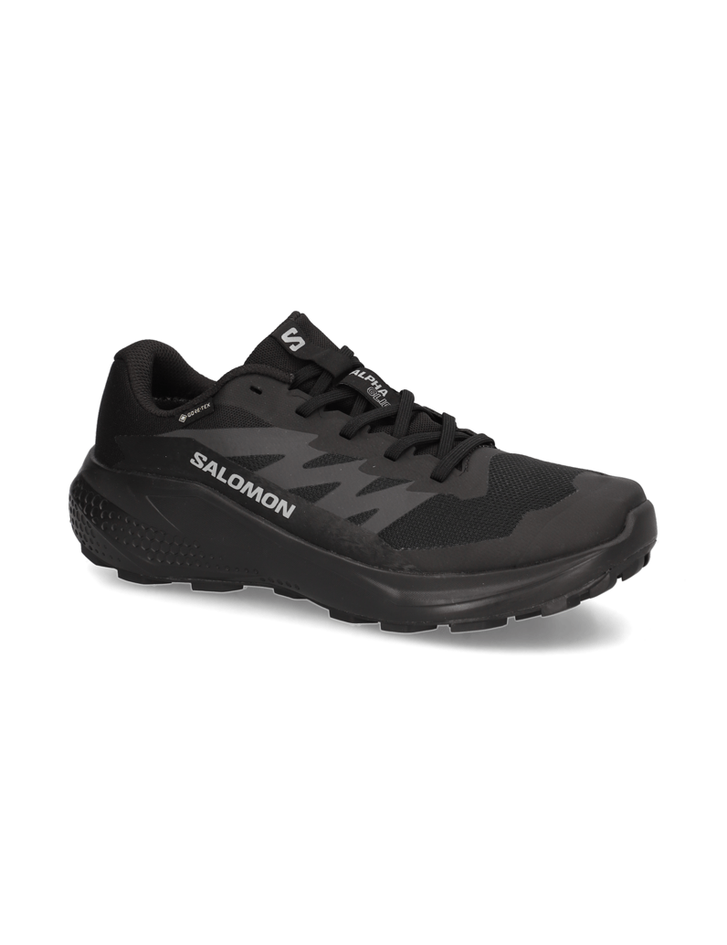 Salomon-ALPHAGLIDE-GTX-černá