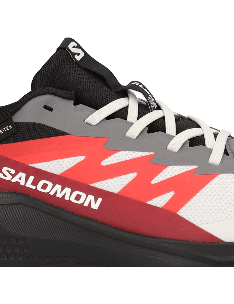 Salomon-ALPHAGLIDE-GTX-černá