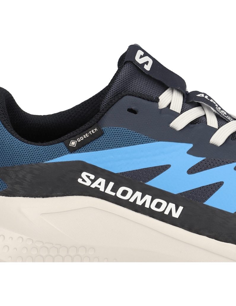 Salomon-ALPHAGLIDE-GTX-čierna