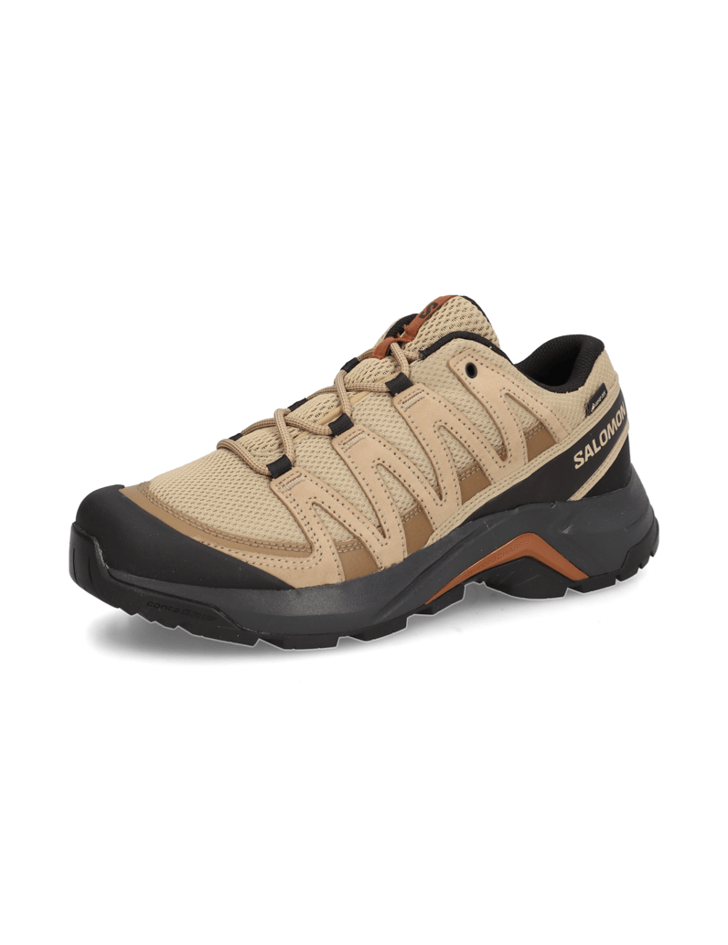 Salomon-X-ADVENTURE-RECON-GTX-černá
