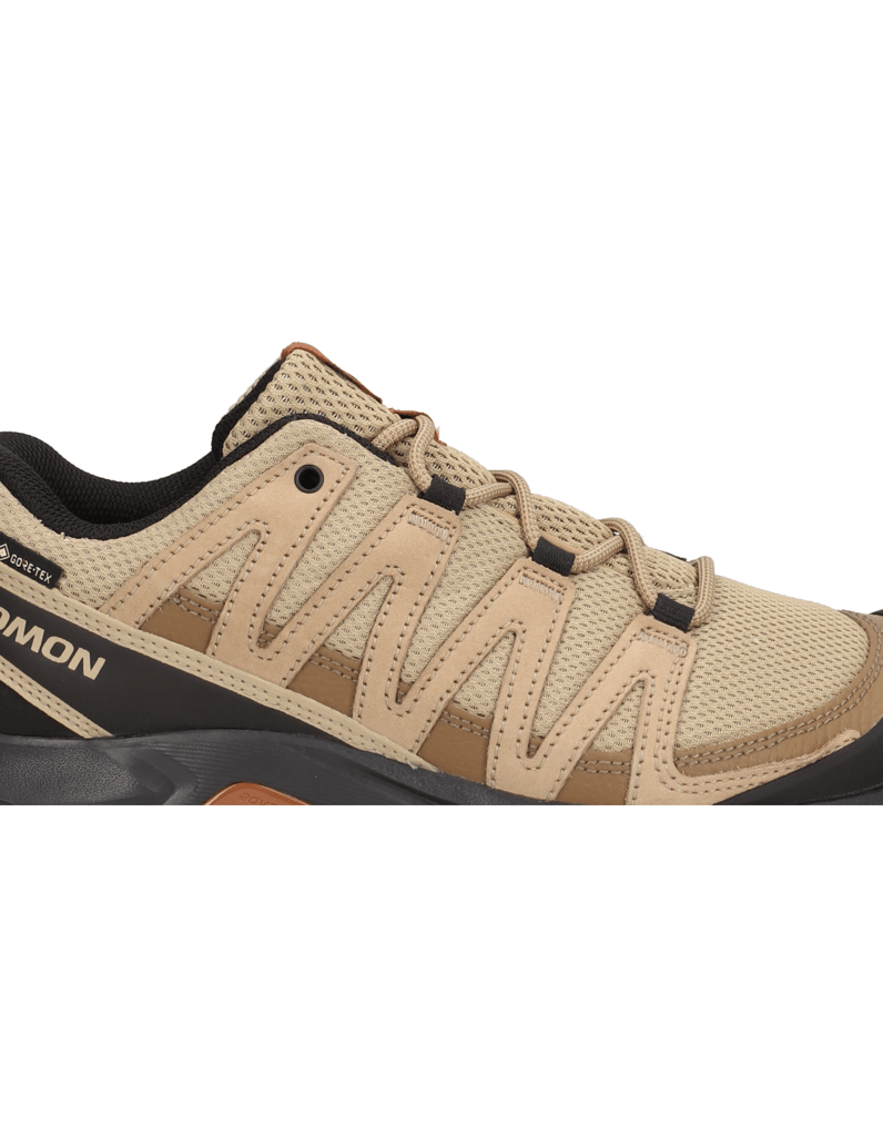 Salomon-X-ADVENTURE-RECON-GTX-černá