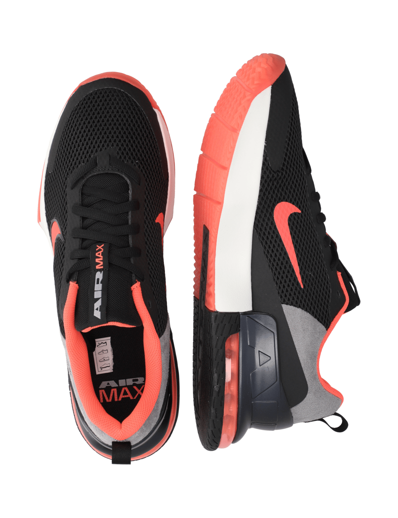 Nike-Nike-Air-Max-Alpha-Trainer 6-PRM-črna
