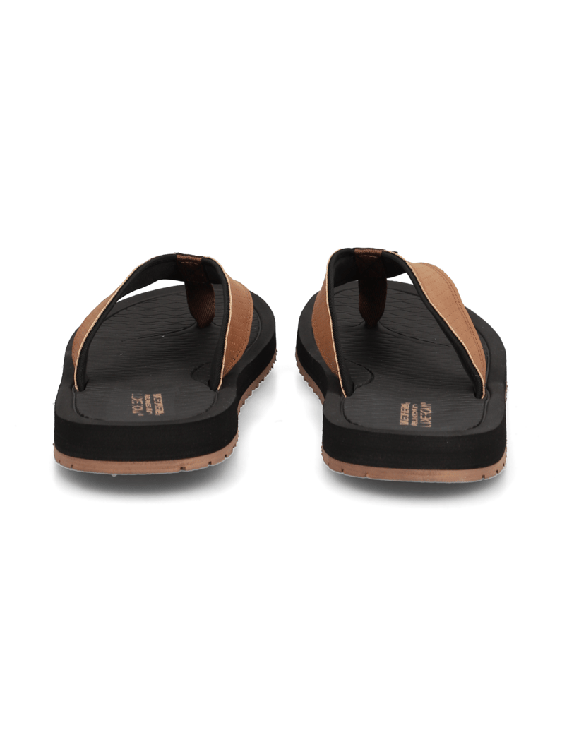 Skechers-TANTRIC---COPANO-črna