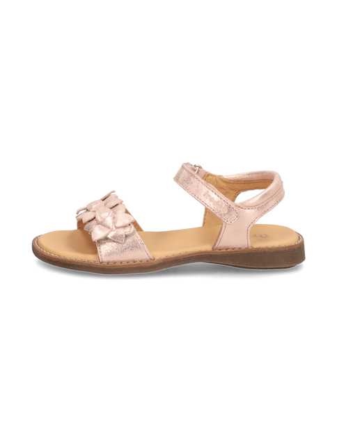 

LORINE FLOWERS, Ružová