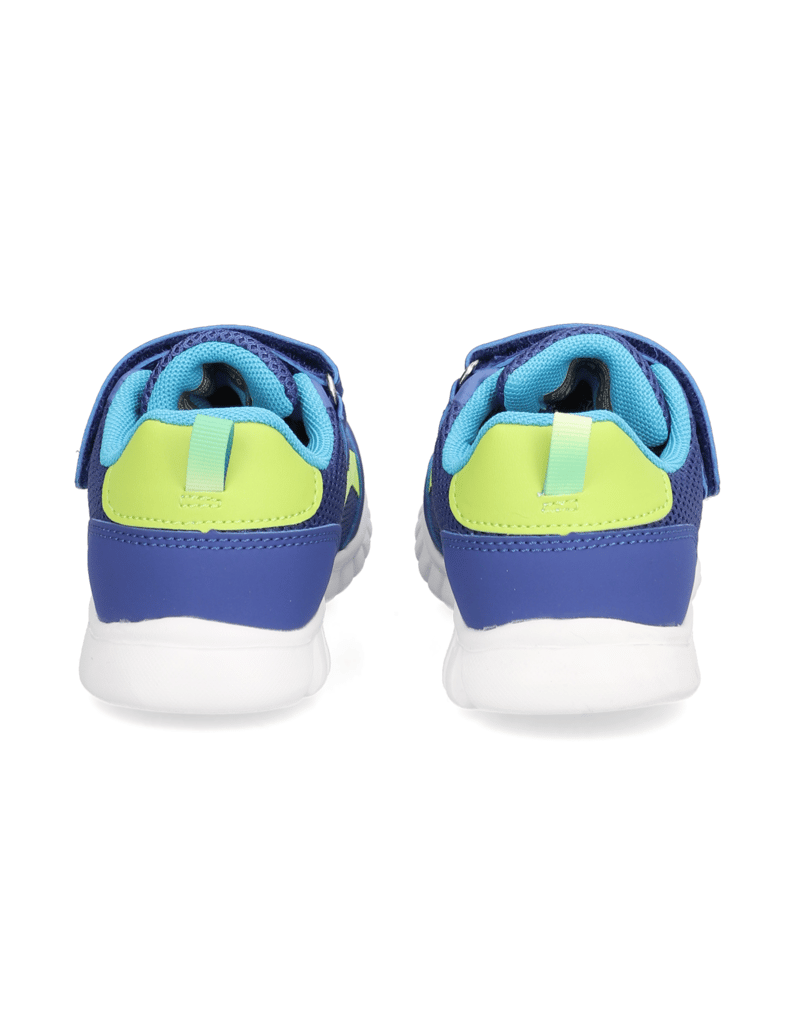 Richter-Wallaby-blau