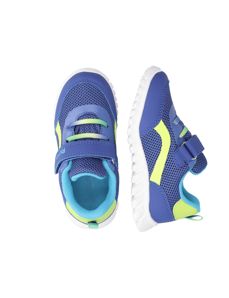 Richter-Wallaby-blau