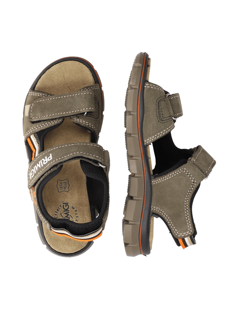 PRIMIGI-TEVEZ-zelena