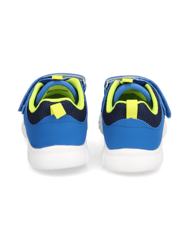 Richter-Wallaby-blau