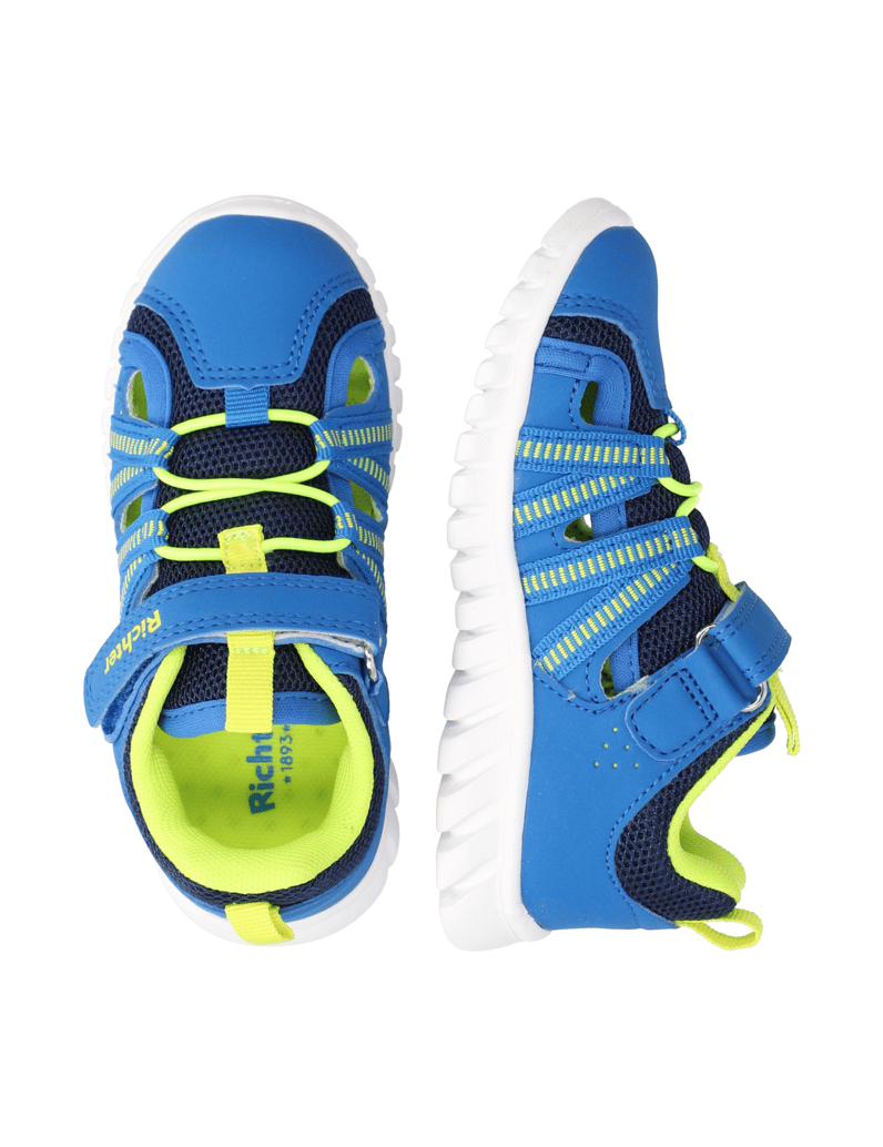 Richter-Wallaby-blau